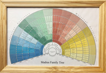 Fan Chart